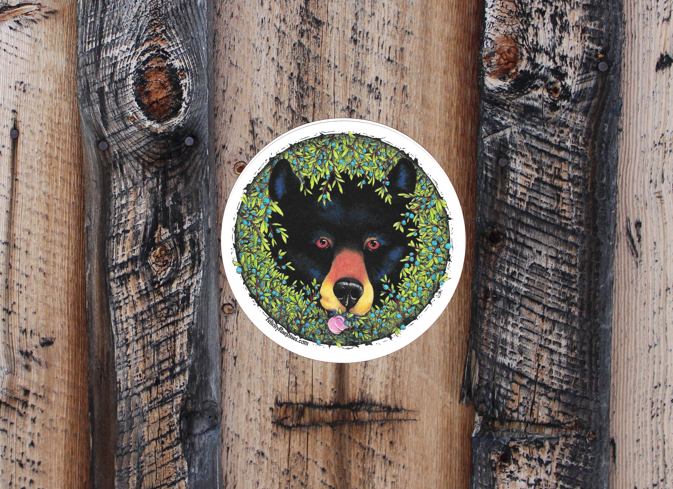 FJ Creations - Wholesale Sticker - "Taste Of Blueberries" Vinyl Stickers1