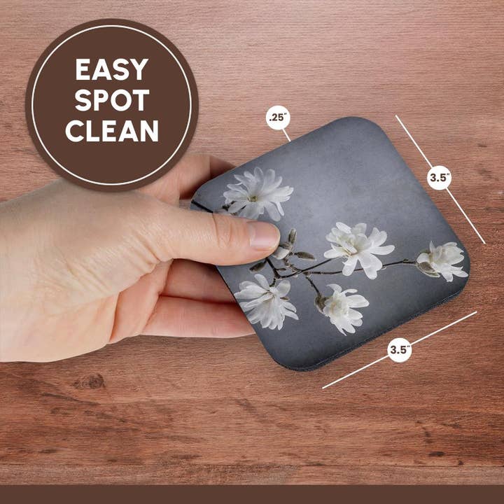 3dRose - Wholesale Coasters - 3dRose, USA, WA, Seabeck. White magnolia flowers and branches. , Coaster13