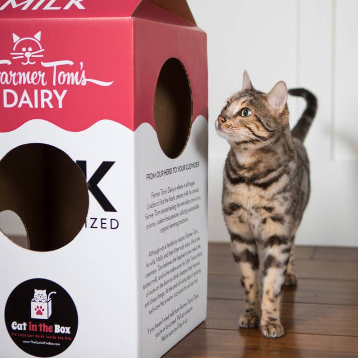 Cat in the Box LLC - Wholesale Speeltje - Kat - Mega Milk Carton - Kartonnen doos Speelhuis voor katten