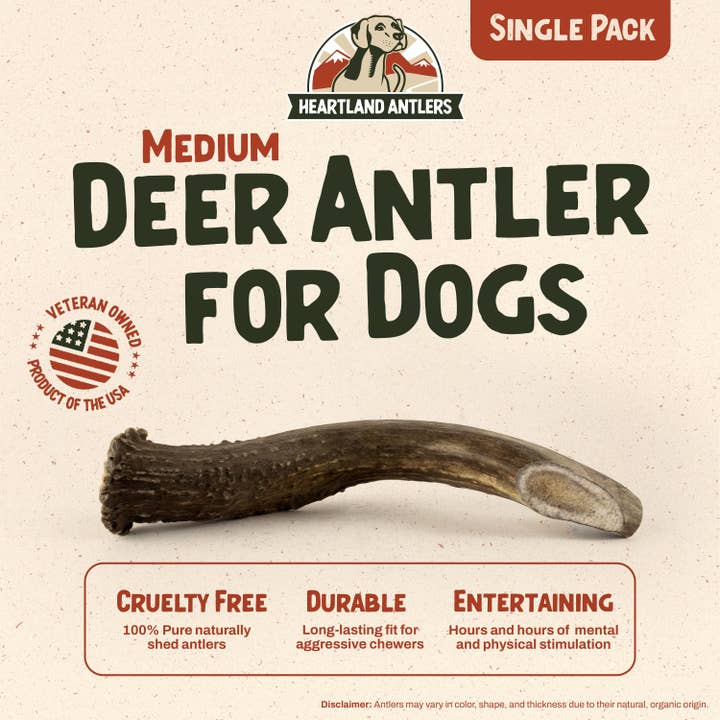 Heartland Antlers - Wholesale Pet Chew Toy - Dog - Deer Antler Chew - Medium (25-45 lbs)1