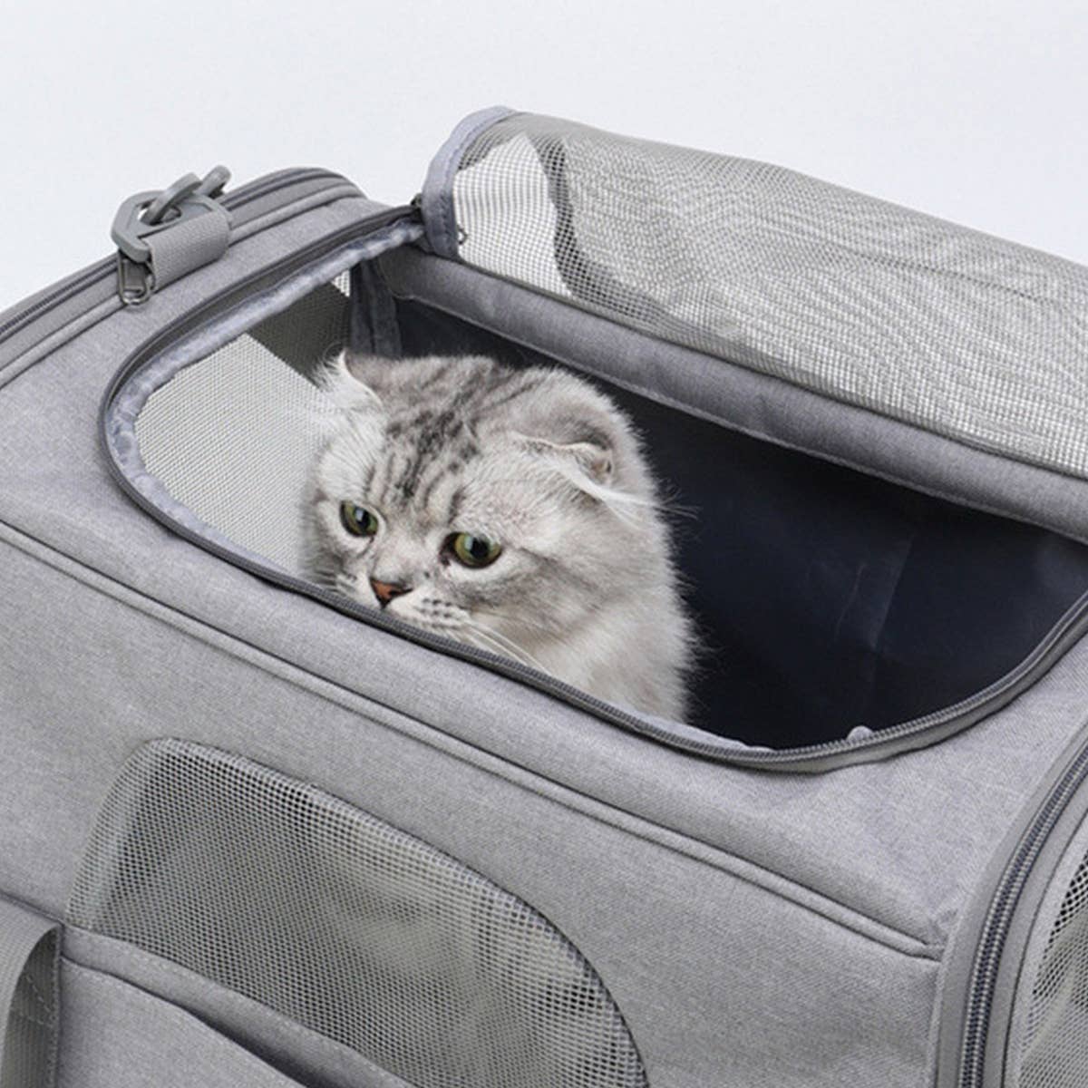 PAWPAWwholesale - Wholesale Pet Carrier - Cat/Dog - Breathable Pet Sling Bag for Travel & Outdoor_CWMM59895