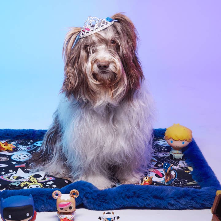 Space Dream deken voor honden en katten voor wholesale door Le Tapis Rouge Paris