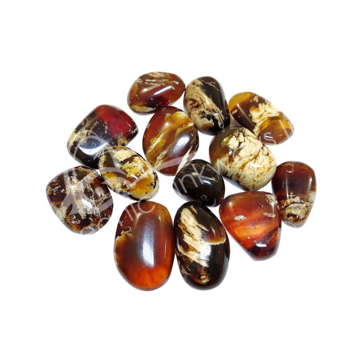 Oceanic Linkways Inc - Wholesale Spiritual Stone/Crystal - TUMBLED STONES - AMBER, ZEBRA 20-40 MM (KG)