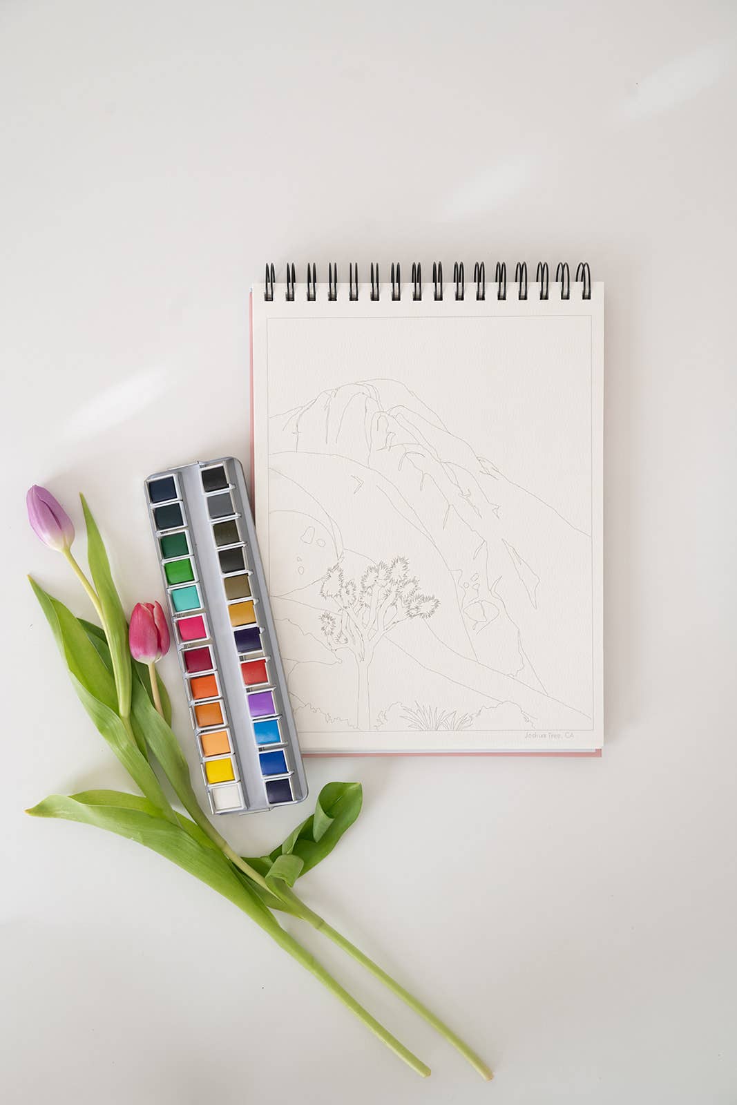 Bailey Rae Studio - Wholesale Watercolor Paint - National Parks Watercoloring Book-Outlines w/Video Tutorials13