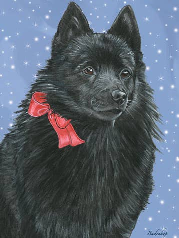 Lot de 10 cartes de Noël Schipperke pour la vente par Pipsqueak Productions