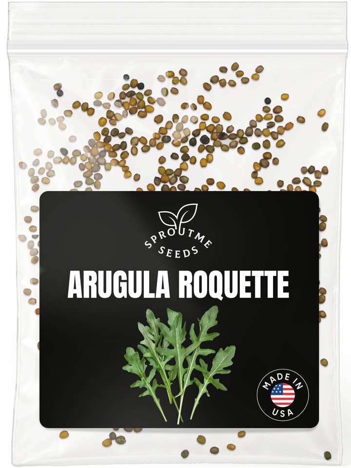 Arugula Roquette Seeds 500+ Seeds – Non-GMO, Fast-Growing Salad Greens for wholesale by SproutMe Seeds
