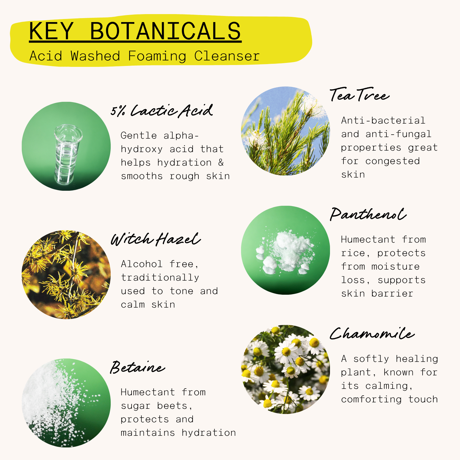 Neighbourhood Botanicals – Großhandel Gesichtsreinigung – 'Acid Washed' schäumendes Gel-Reinigung mit 5 % AHA, 120 ml3