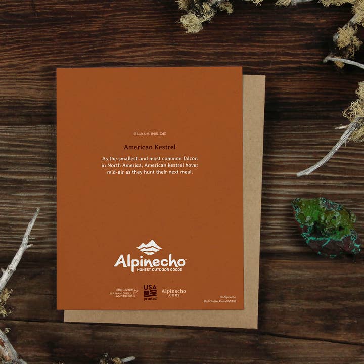 Alpinecho - Wholesale Everyday Greeting Card - Bird Chatter Kestrel Greeting Card1