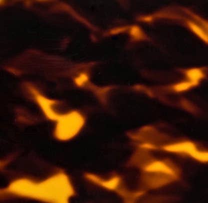 Ozeano Eyewear - Wholesale Sunglasses - Unisex - Freshie (Bushfish) - Polarised Sunglasses9