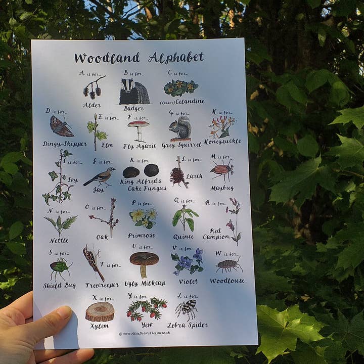 Woodland Alphabet print for wholesale by Alice Draws The Line