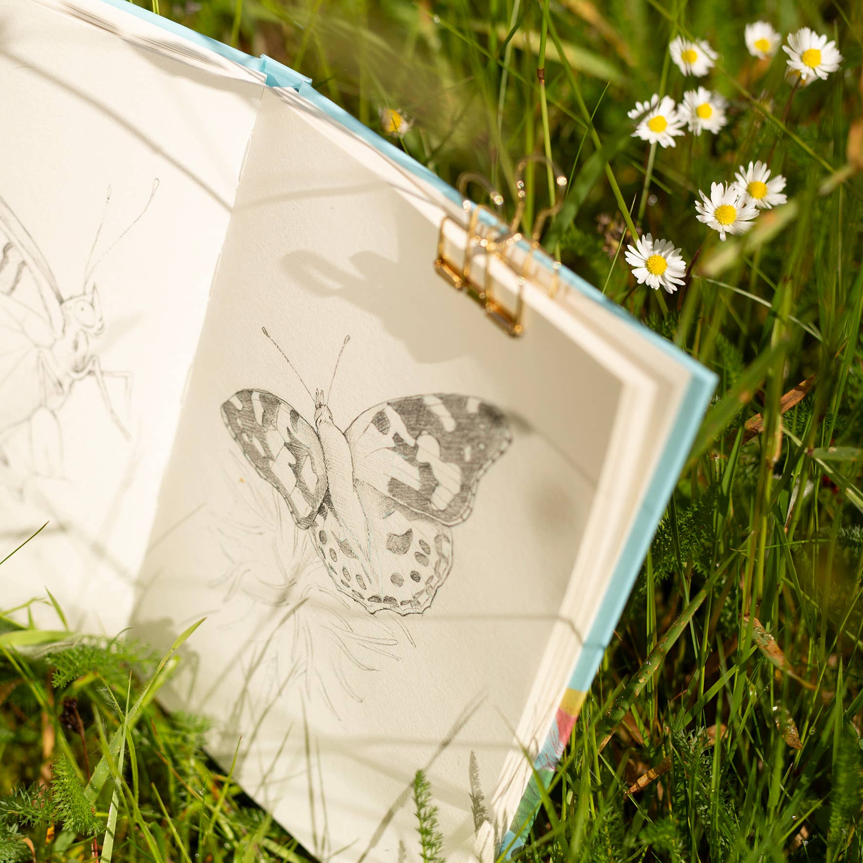 West Design Products UK – wholesale Sketchbook/sketchpad – RHS 160 Page Hardbound Sketchbook (110gsm), A5, Bird Scene5