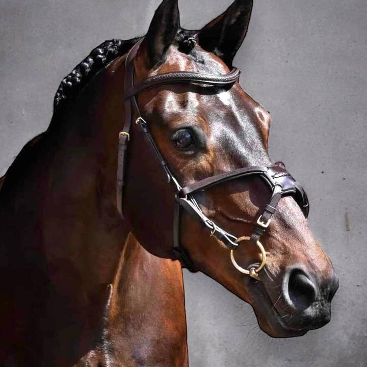 EPONIA EQUESTRIAN LIFESTYLE - Wholesale Horseback riding gear - Bridle - Anatomical Bit lifter on Italian leather3