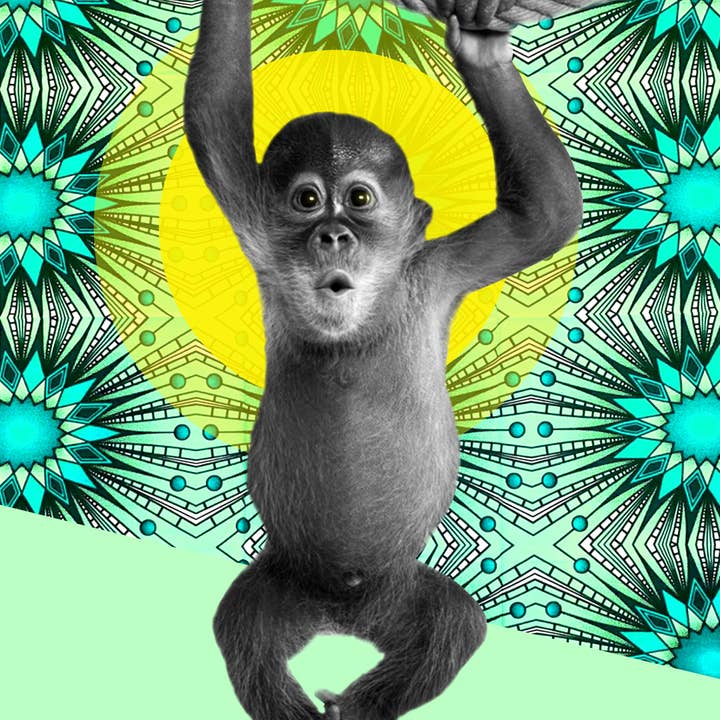 Blue Coffee Arts - Venta al por mayor Ilustración - Niños y bebés - Estampado africano de monos para habitación infantil
