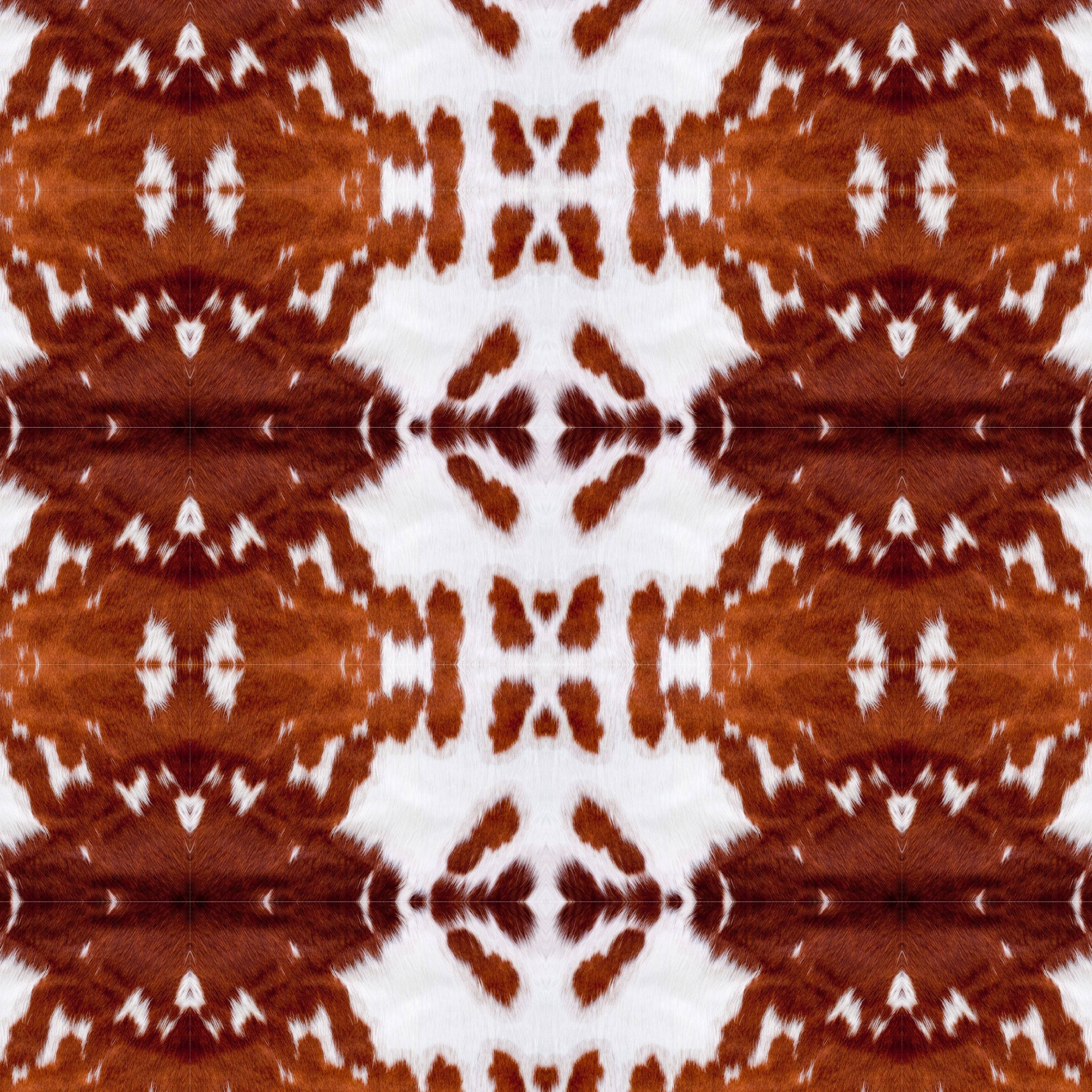 Whipin Wild Rags - Wholesale Scarf - Women's - Longhorn XL Wild Rag1