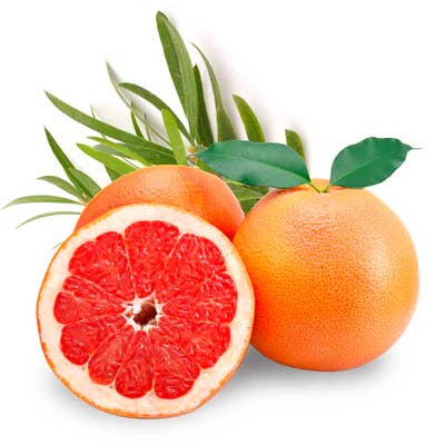 Beessential - Wholesale Hand Soap/Wash - Beessential All Natural Grapefruit Lemongrass Foaming Soap