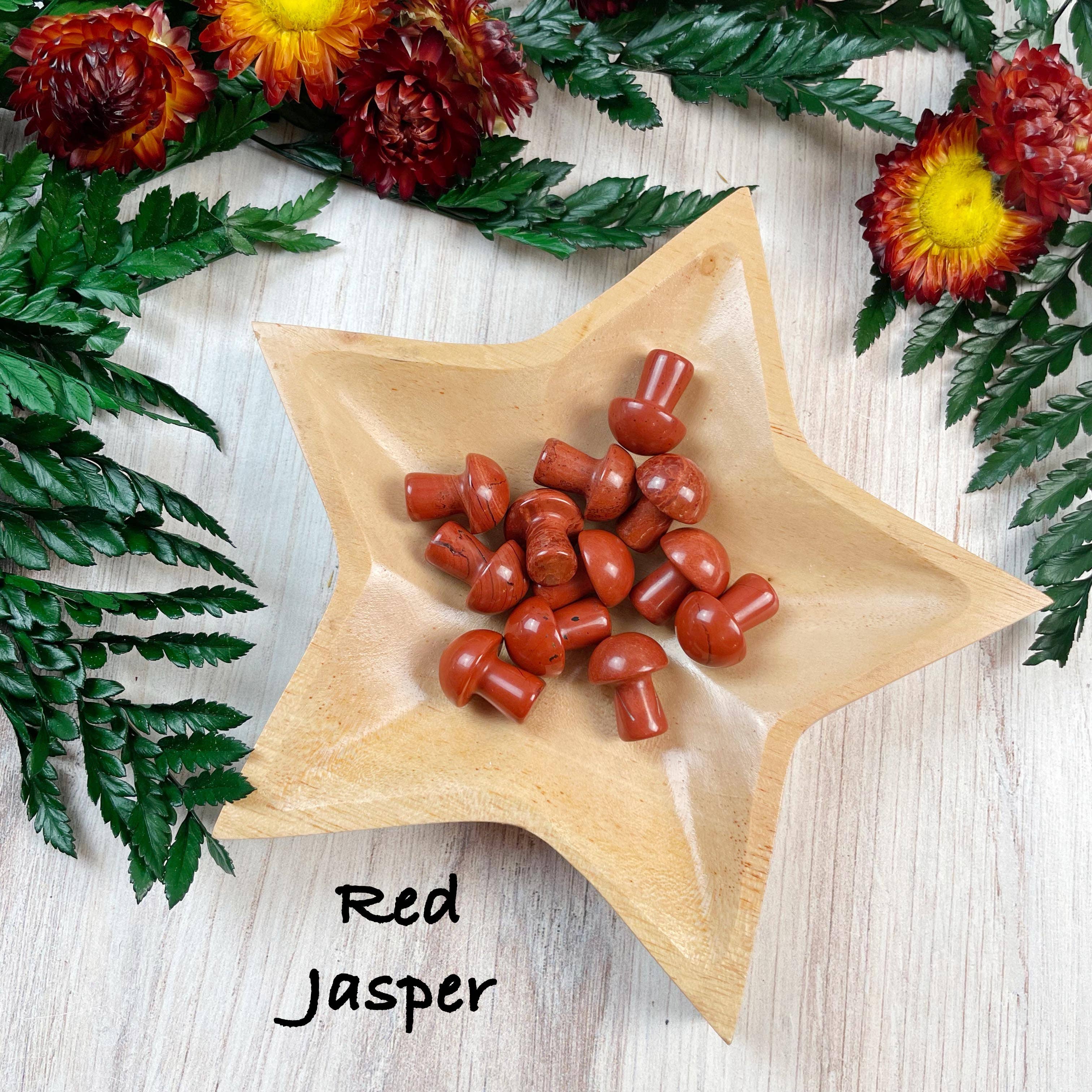 Ewelina Pas Jewelry - Wholesale Spiritual Stone/Crystal - MINI Gemstone Mushroom Pocket Stone15