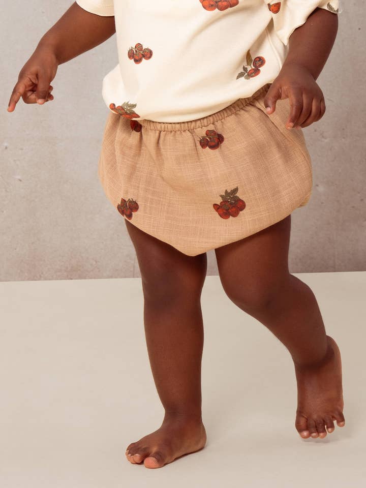 Bloomer Amico Torrone Pomodori per la vendita all'ingrosso da parte di Studio Bohème Paris