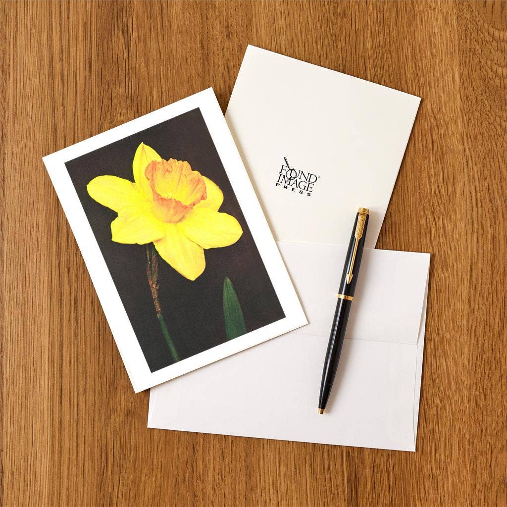 Found Image Press – wholesale Stationery/notecard set – Greeting Card FP-13 Daffodil1