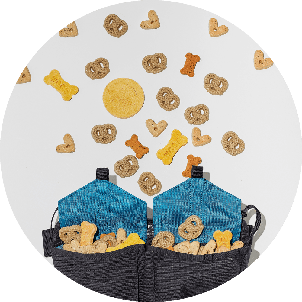 Wildebeest - Wholesale Belt Bag - Unisex - Farallon Crossbody Belt Bag / Treat Pouch5