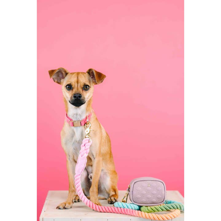 Pink Papyrus | Premium, Durable, & Stylish Dog Products – wholesale Pet poo bag dispenser – Willow Beige Vegan Leather Poop Bag Dispenser & Treat Pouch