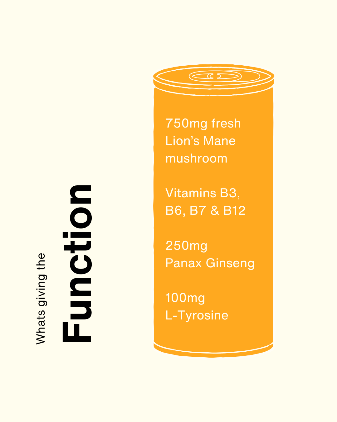 Oom Drinks Ltd - Wholesale Sports/Energy Drink - OOM Focus (12 Pack)2