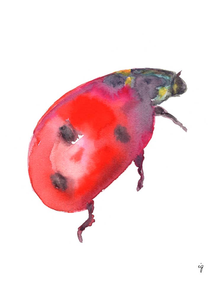 Joaninha por atacado de SAS {Seattle Art Studio}