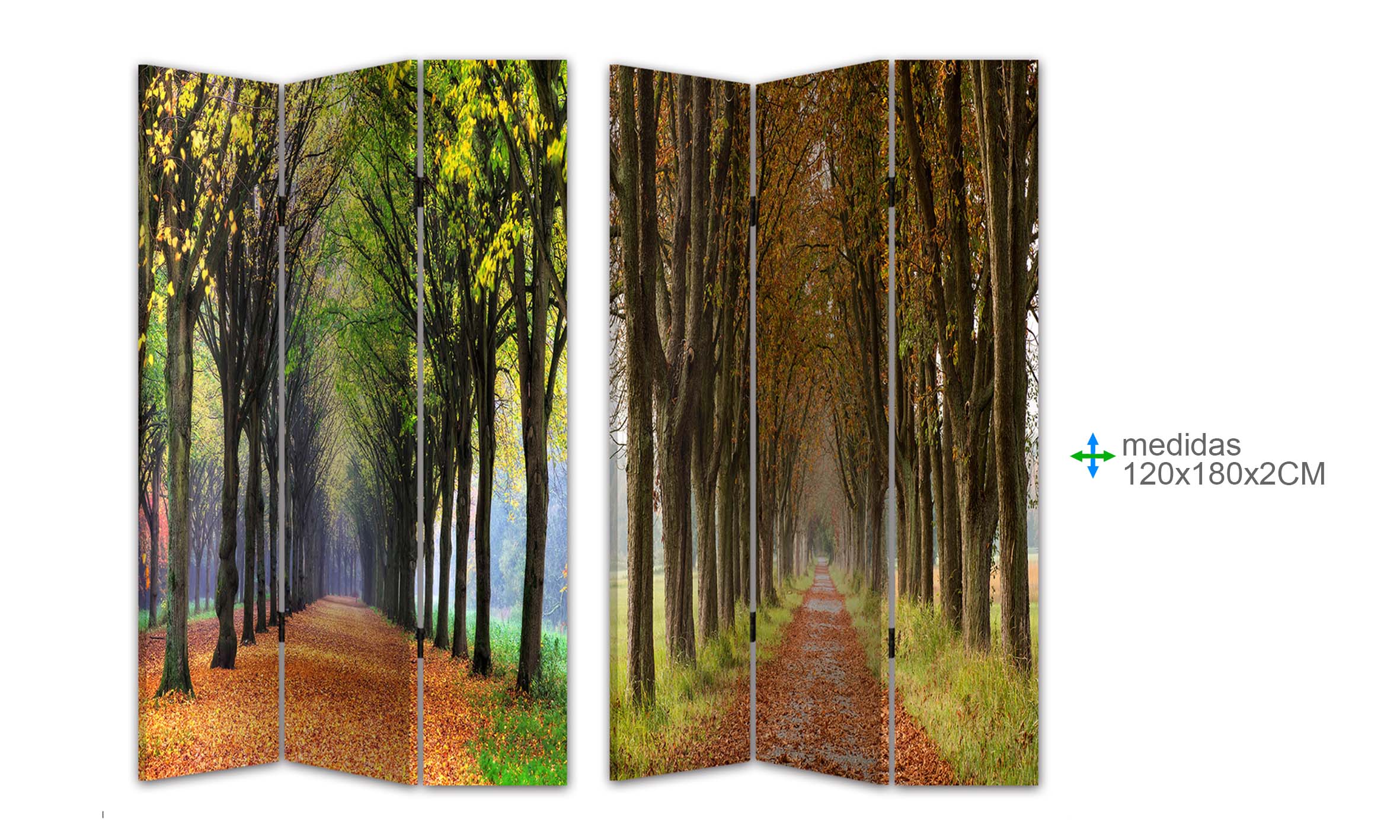 Esoterica Arte - Wholesale Meditation Supplies - Screen Canvas 120x180x2 (2 units)0