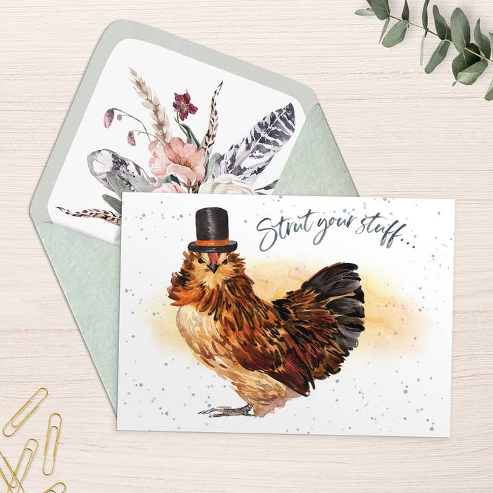 ED/Strut Your Stuff for wholesale by Norcard Enterprises LTD