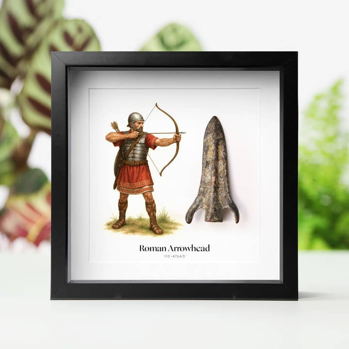 Freccia Romana & Illustrazione WC Autentico Artefatto Cornice per la vendita all'ingrosso da parte di Curated Studio