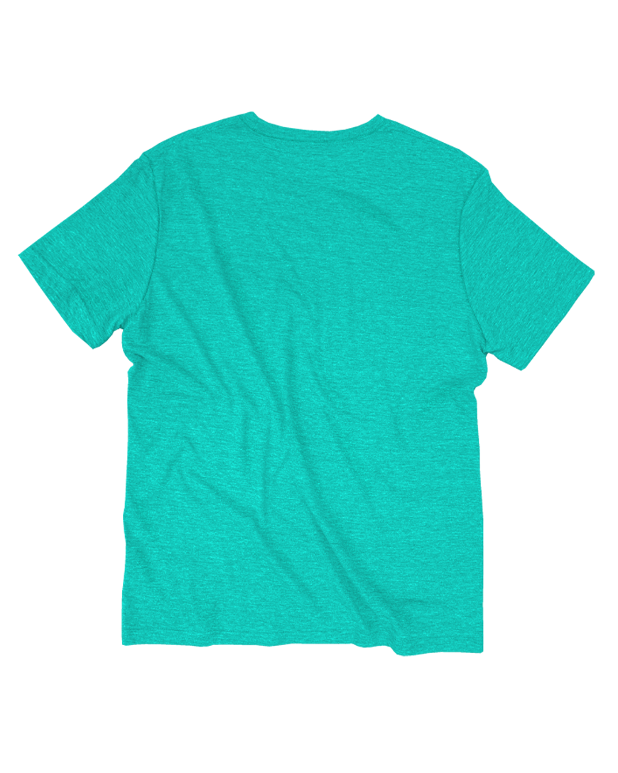 GOEX Apparel - Wholesale T-Shirt - Men's - Unisex Short Sleeve Triblend Tee7