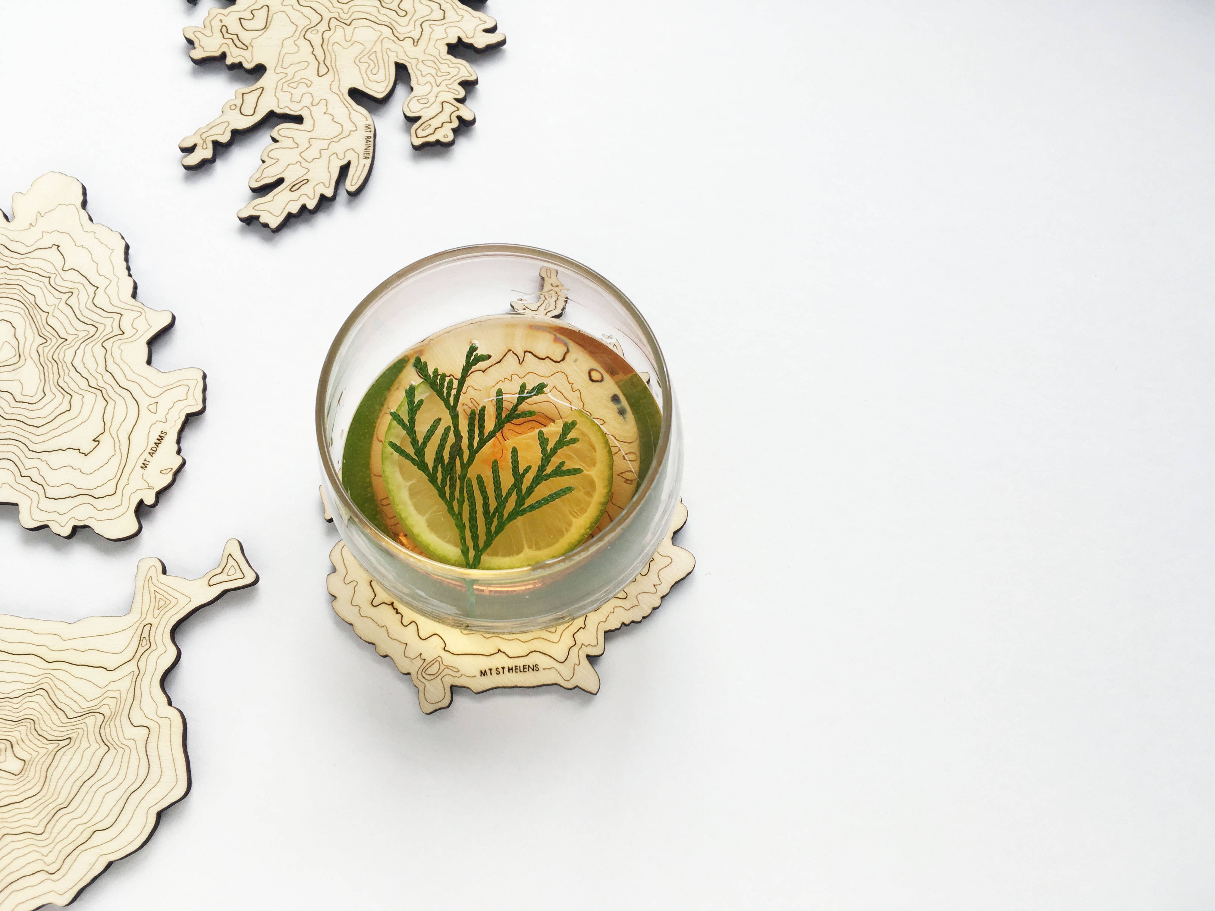 SML | Simple Modern Living - Wholesale Coasters - Mt Rainier Topography Coaster - Single3