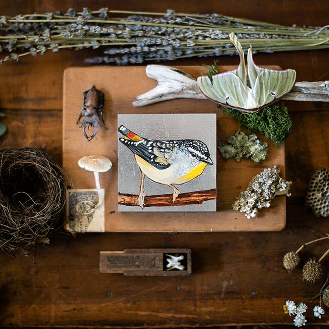 Spotted Pardalote for wholesale by Joseph Bradley Studio