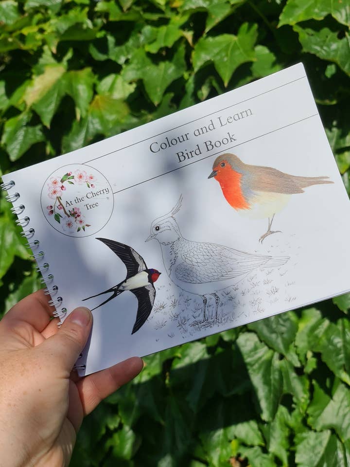 Colour and Learn - Birds for wholesale by At the Cherry Tree