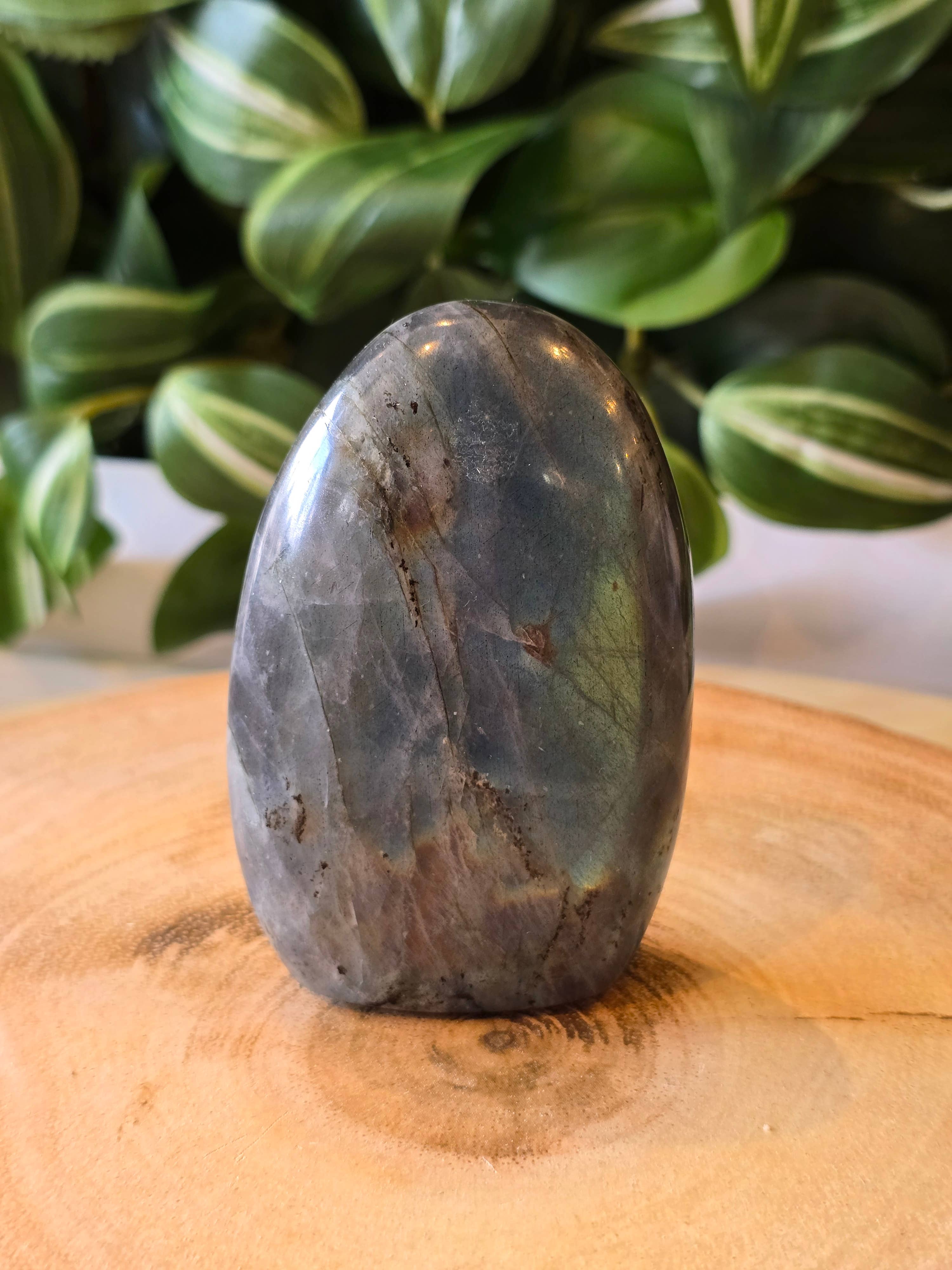 Crystal Cove Minerals – wholesale Spiritual stone/crystal – Labradorite Freeforms3
