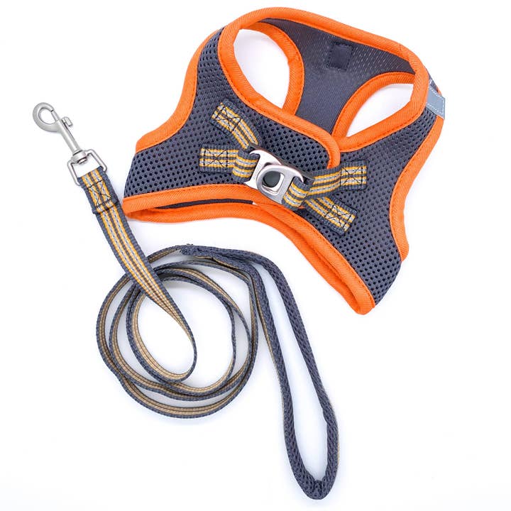 Border and Charle's - Wholesale Pet Harness - Dog - Nina's harness and leash2