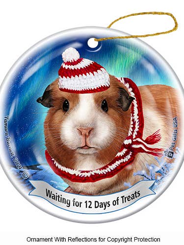 Enfeite de Natal American Series 5 da cobaia por atacado de Pet Gifts USA, LLC
