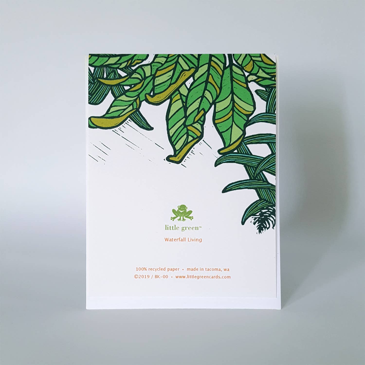 Little Green - Wholesale Stationery/Notecard Set - Assorted Tropical Blank Note Card Set of 8 / Fine Art Greeting Cards6