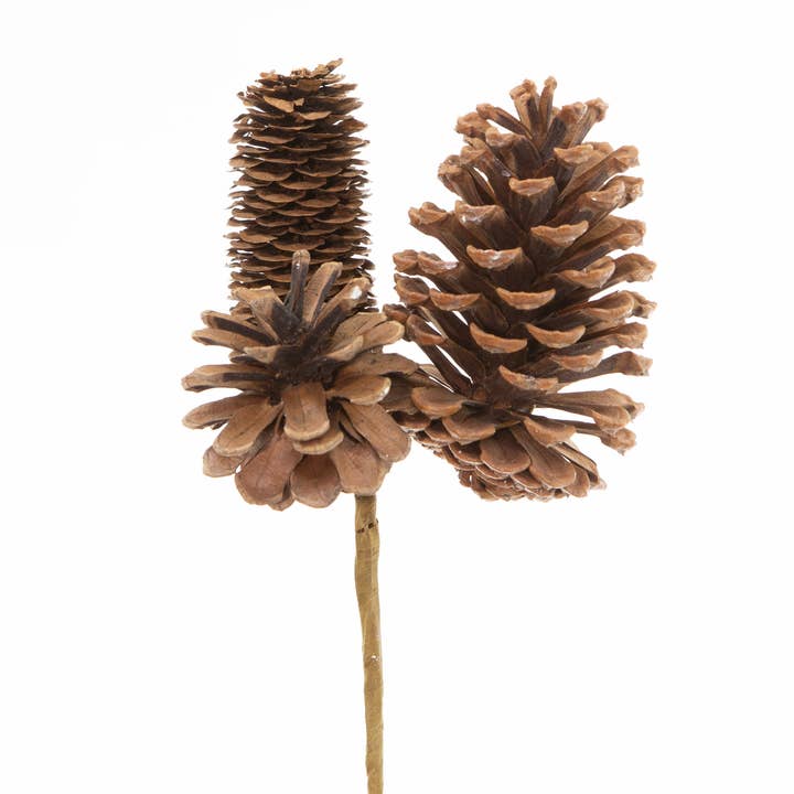 Jacobson - Wholesale Christmas Decoration - 12" OAL 3x Pinecone Pick1