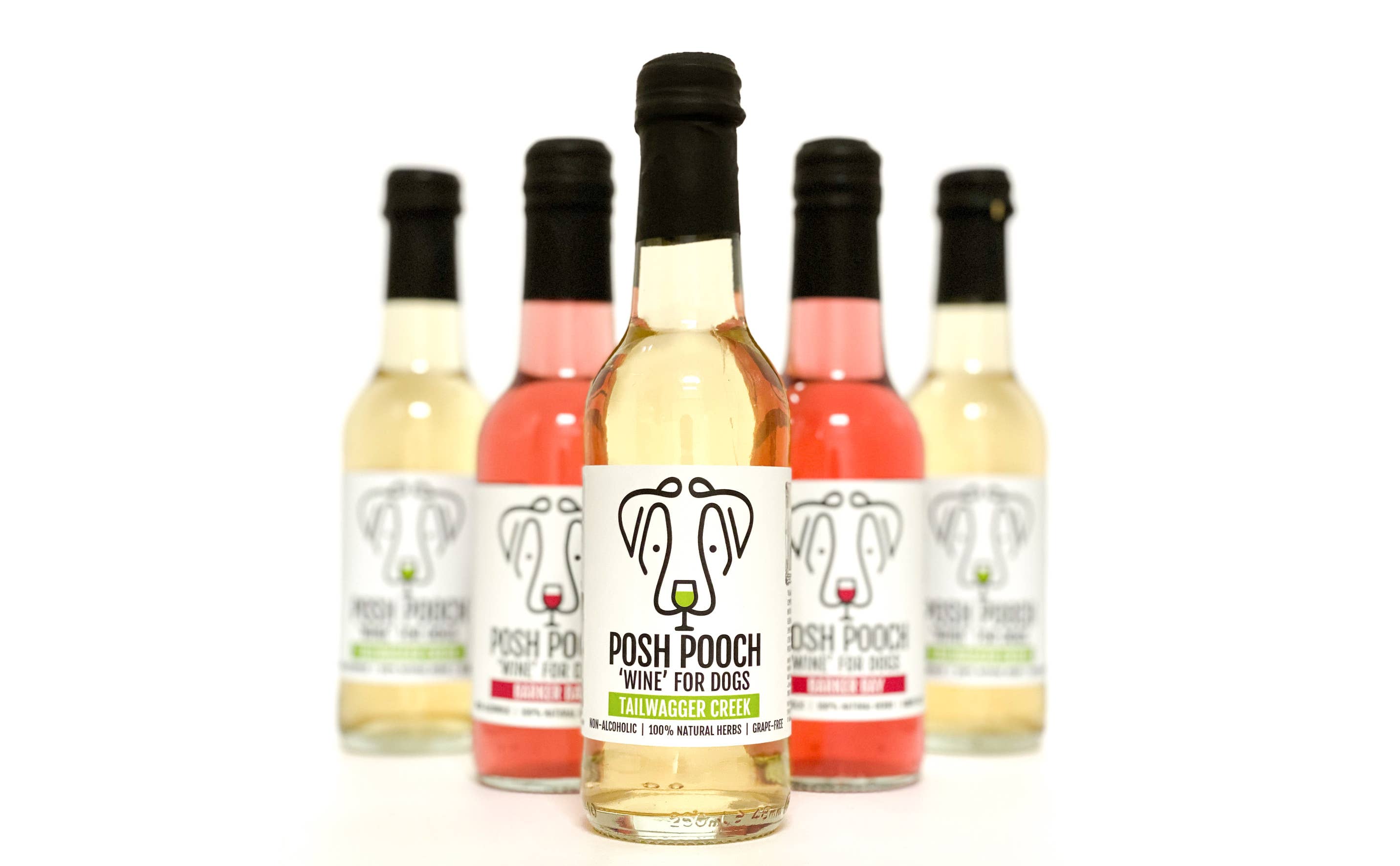 WOOF&BREW LTD – wholesale Godis - Hund – Woof&Brew Posh Pooch Hund 'Vin' Godis - Gåva eller Kylande Godis4