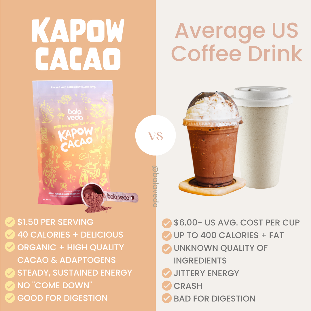 Balaveda – Großhandel Protein-/Superfood-Pulver – Kapow Cacao - Bio-Kaffeeersatz7