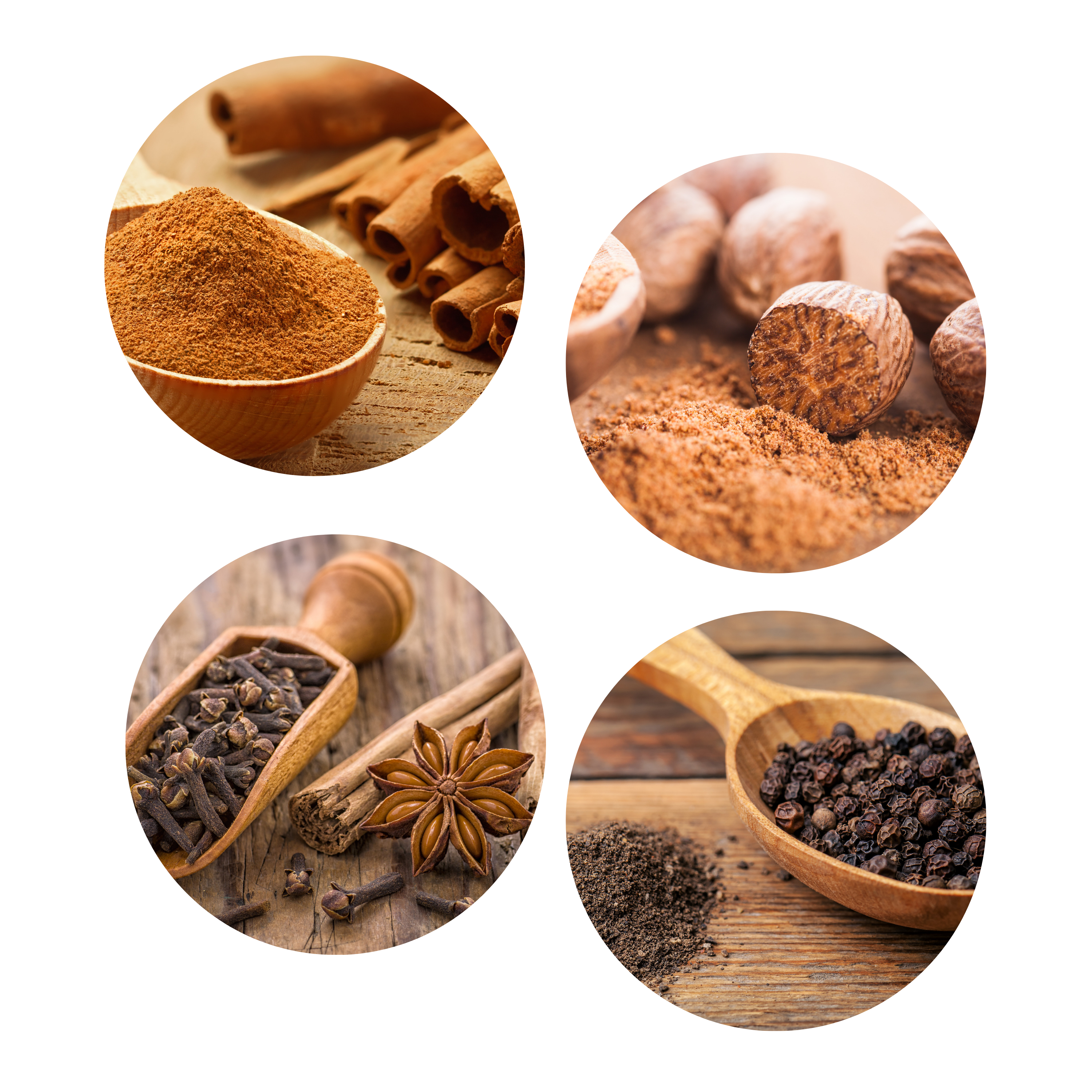 Africa Blossoms - Venta al por mayor Galletas - Galletas con mezcla de 4 especias4