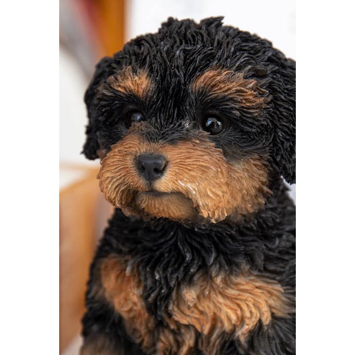 Hi-Line Gift Ltd. - Wholesale Decorative Figurine - Baby Cavapoo Black & Tan