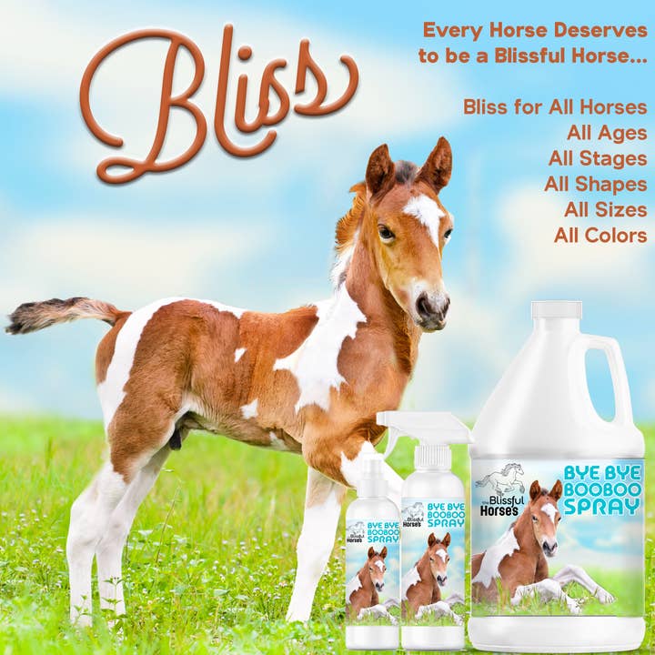 The Blissful Dog - Wholesale Pet Spray - Dog - The Blissful Horses Bye Bye Boo Boo Spray - 16 Ounce5