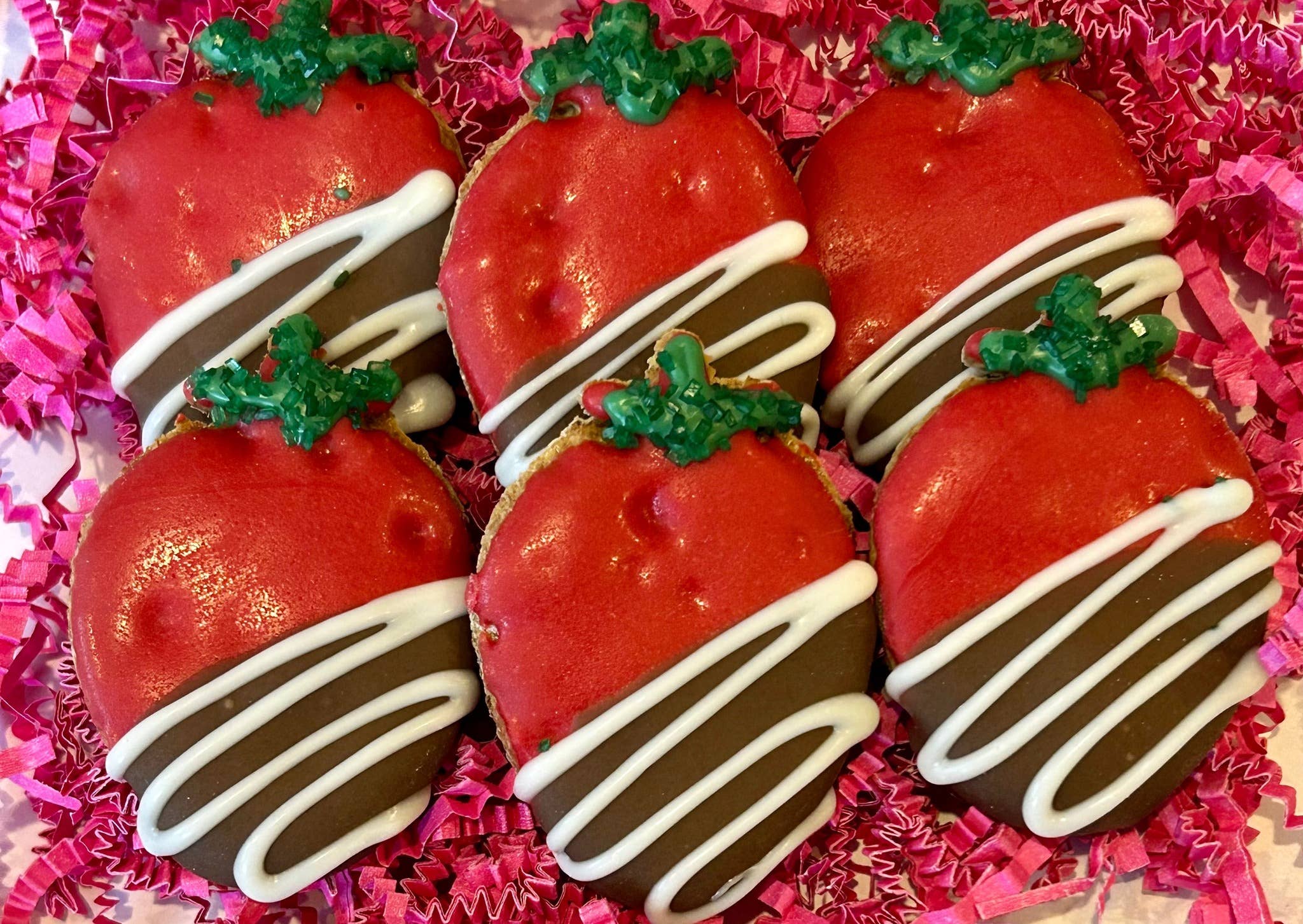 DELCO DOG CO. - Wholesale Pet Treats - Dog - Chocolate Covered Strawberry Dog Treats1