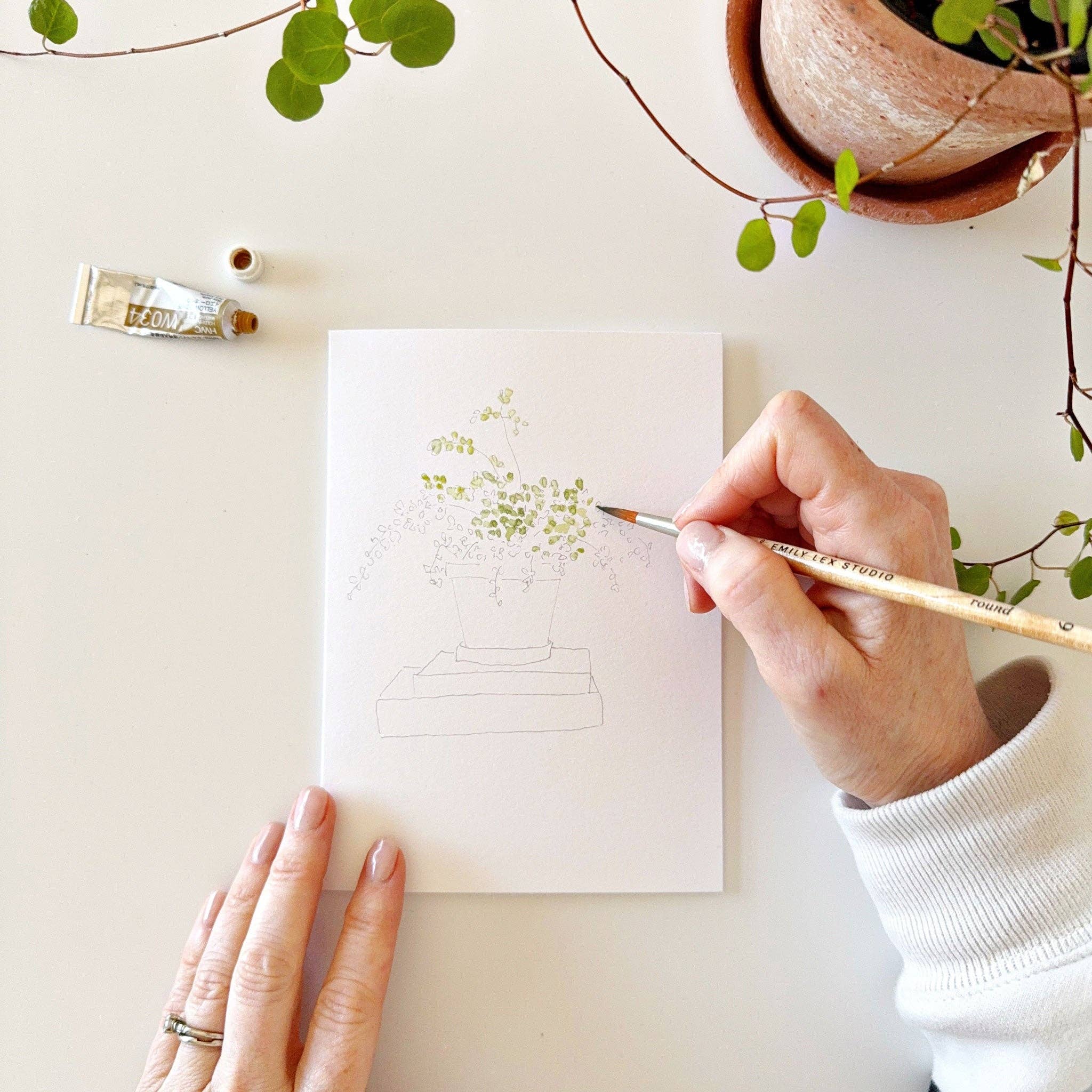 emily lex studio – wholesale Kontorsmateriel/Notecard Set – Målarbara vykort med krukväxter9