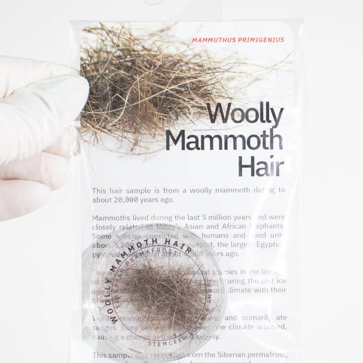 Stemcell Science Shop - Wholesale Hair Clip - Women's - Woolly Mammoth Hair