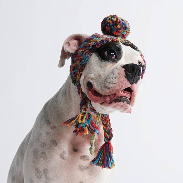Spark Paws - Wholesale Pet Hat - Dog - Knit Pom Pom Dog Beanie Hat - Kaleidoscope