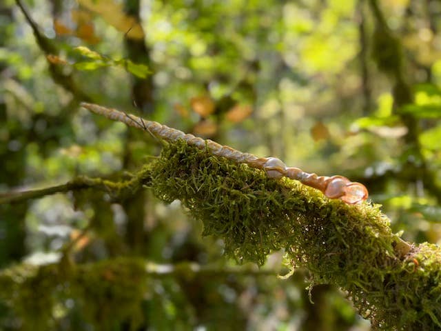 The Woodland Wandolier - Wholesale Toy Wand - Kids - Handcrafted Fairy Godmother Wands11