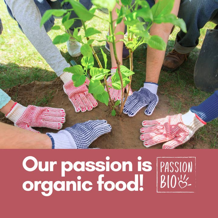 J&J Aronia - Wholesale Dried/Dehydrated Fruit - Organic Dried Elderberries (1 lb)6