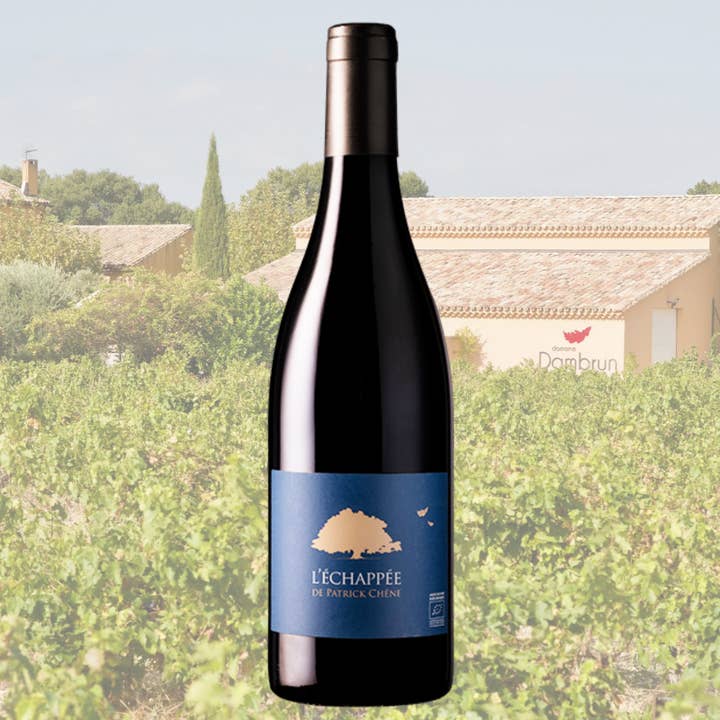 Domaine Dambrun - Wholesale Red Wine - L'ESCAPÉE by Patrick Chêne 2019